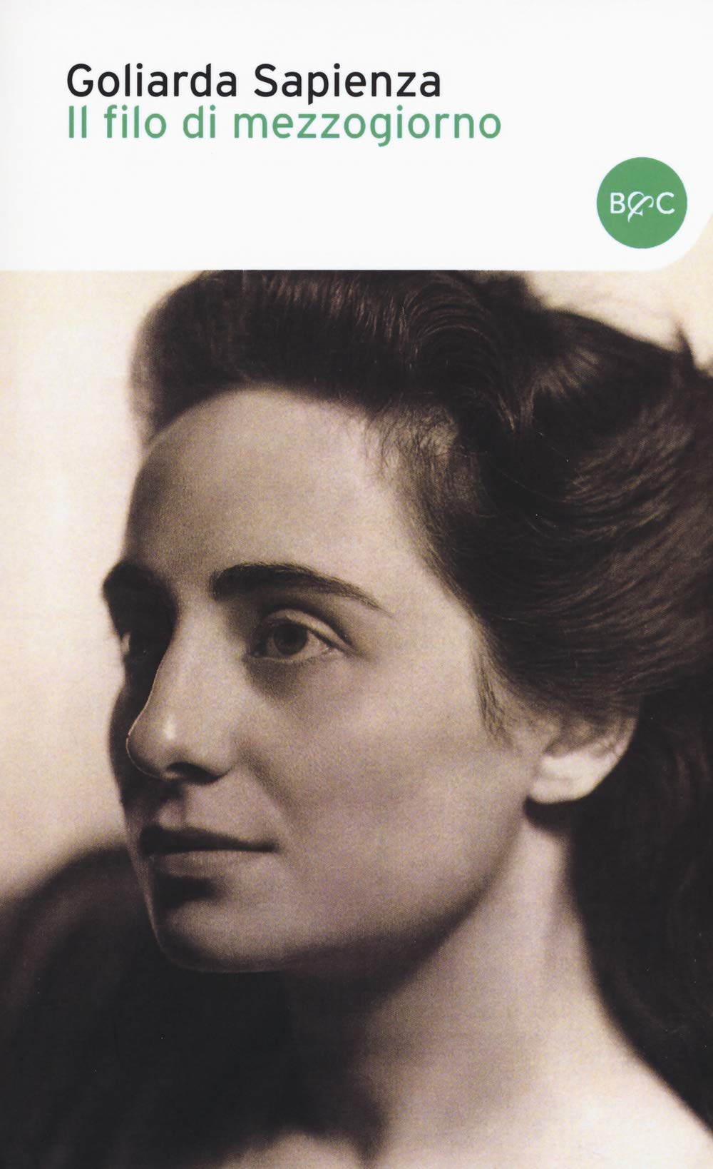 Il filo di mezzogiorno book