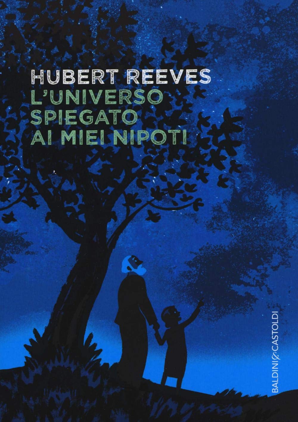 L'universo spiegato ai miei nipoti book