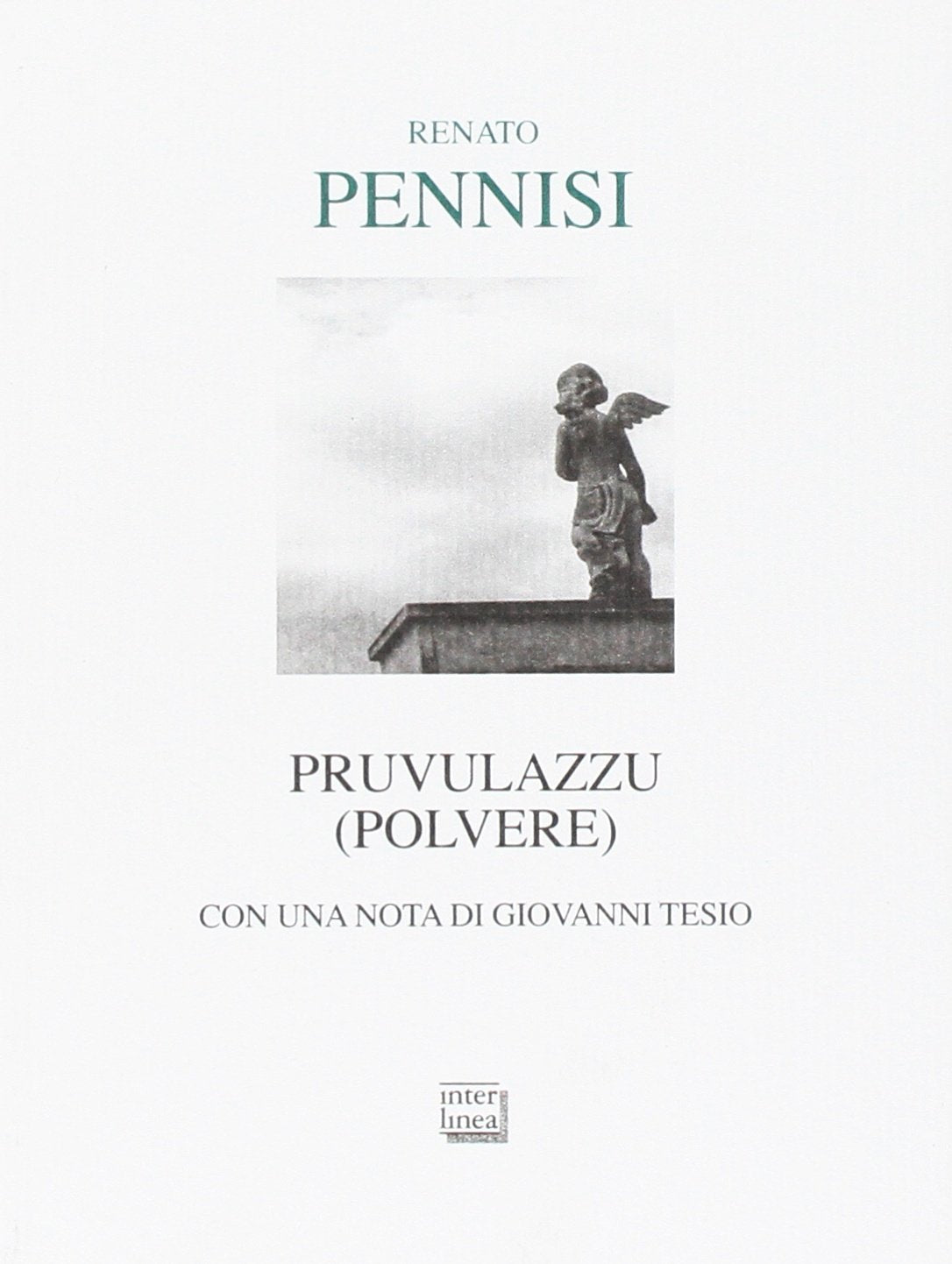 Pruvulazzu (polvere) book