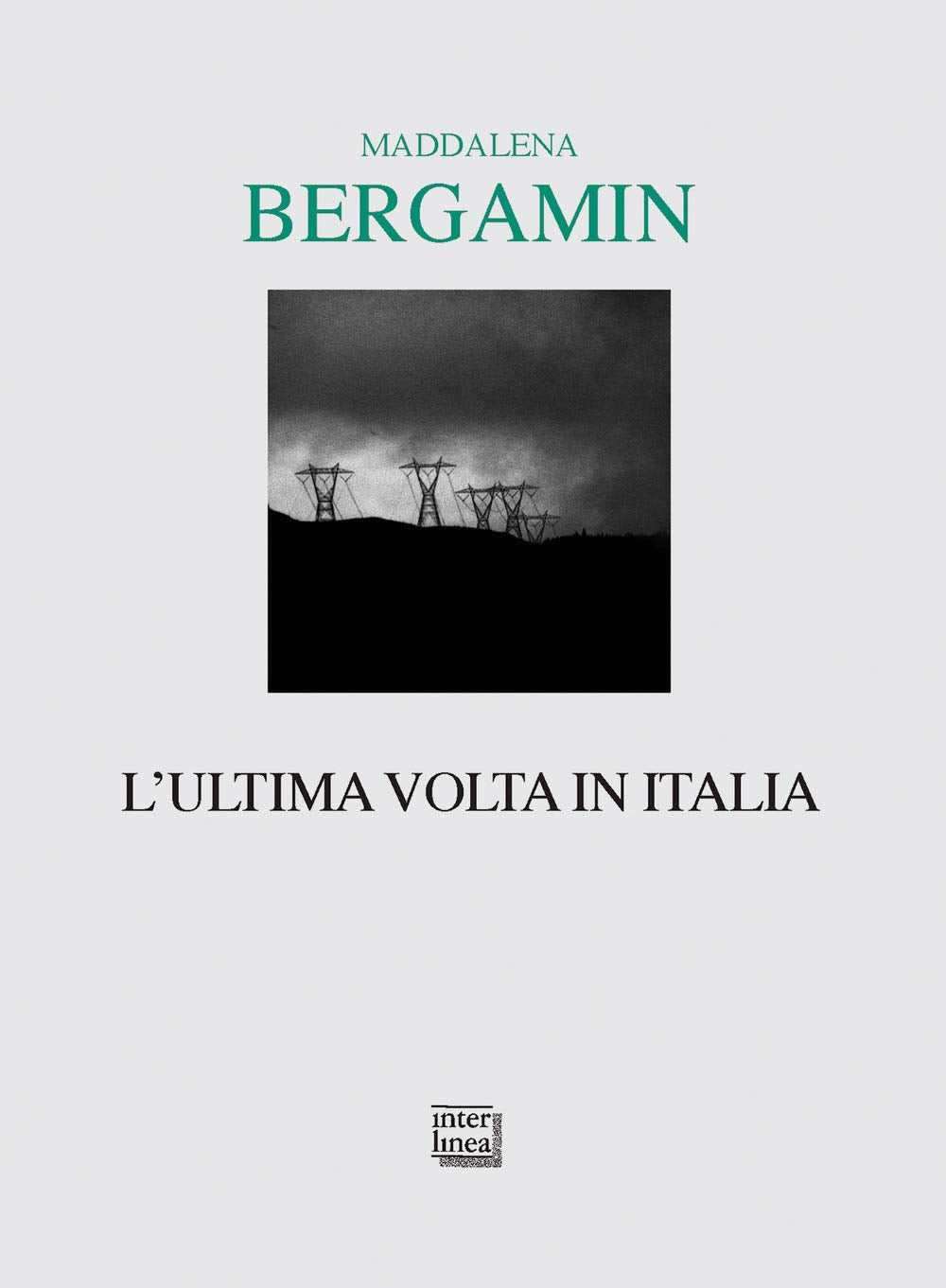 L'ultima volta in Italia book