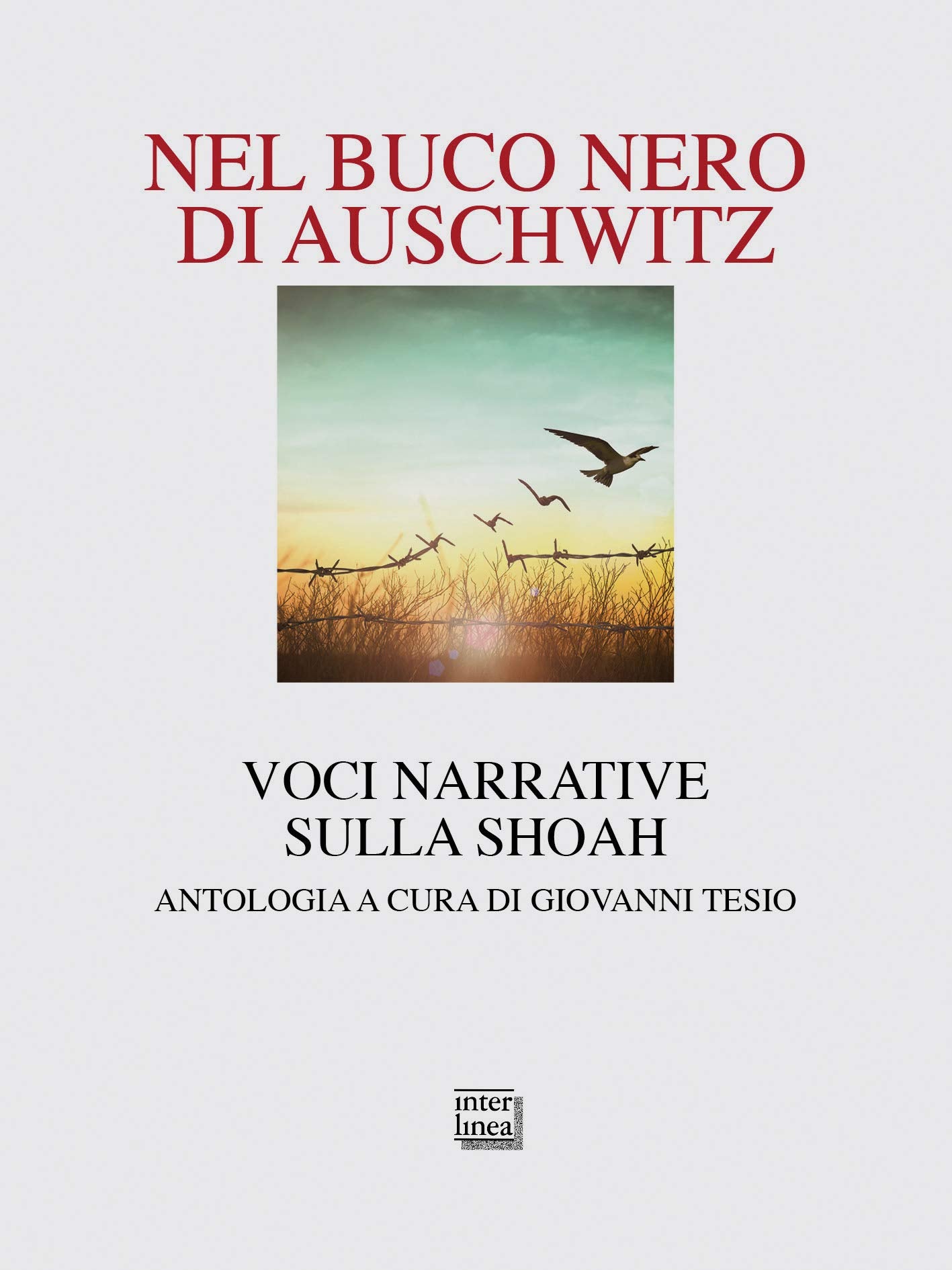 Nel buco nero di Auschwitz. Voci narrative sulla Shoah book