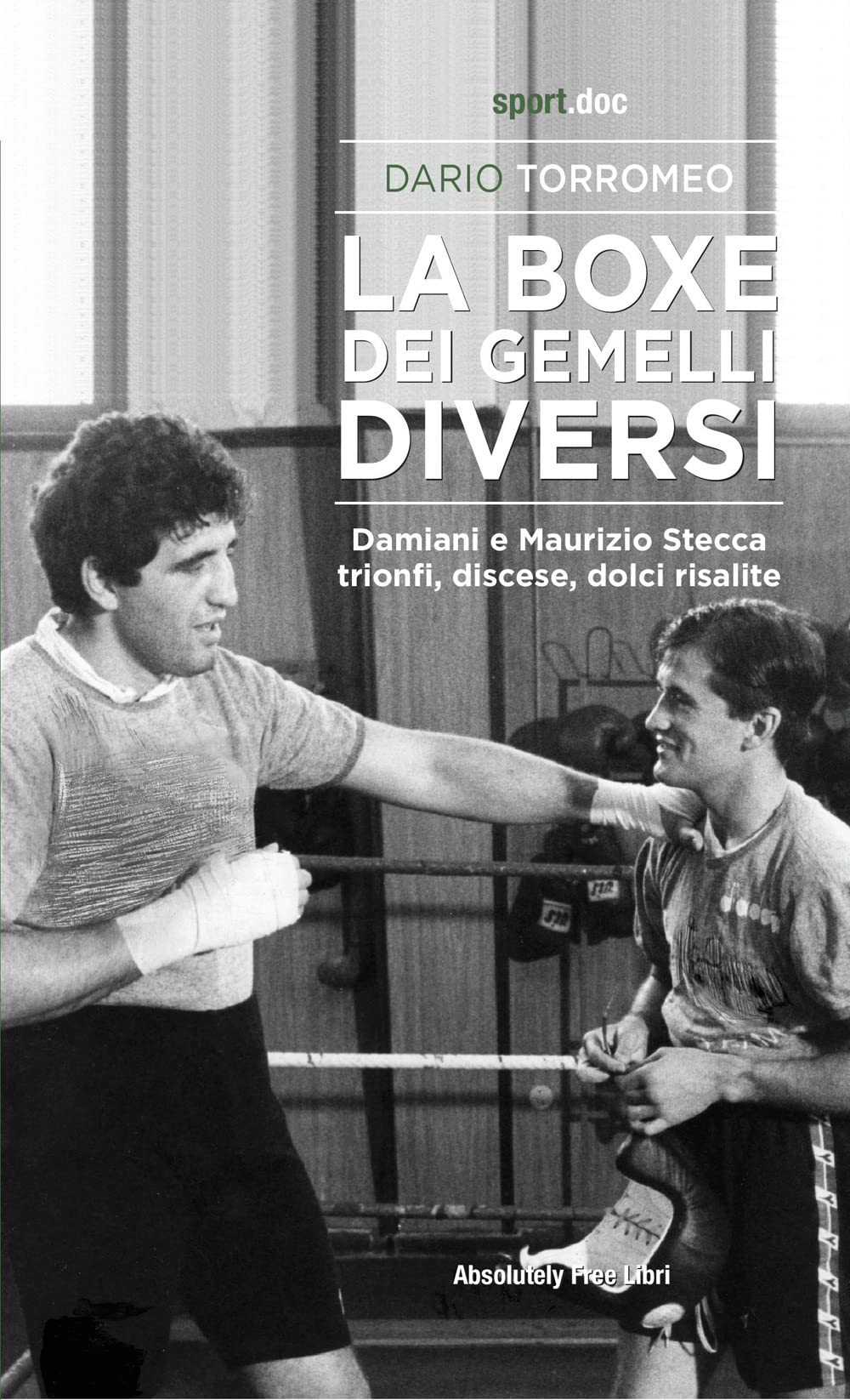 La boxe dei gemelli diversi. Damiani e Maurizio Stecca: trionfi, discese, dolci risalite book