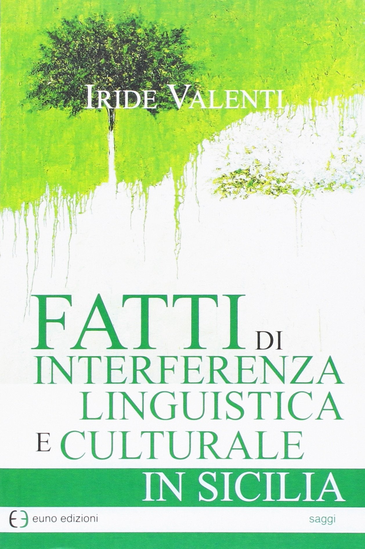 Fatti di interferenza linguistica culturale in Sicilia book