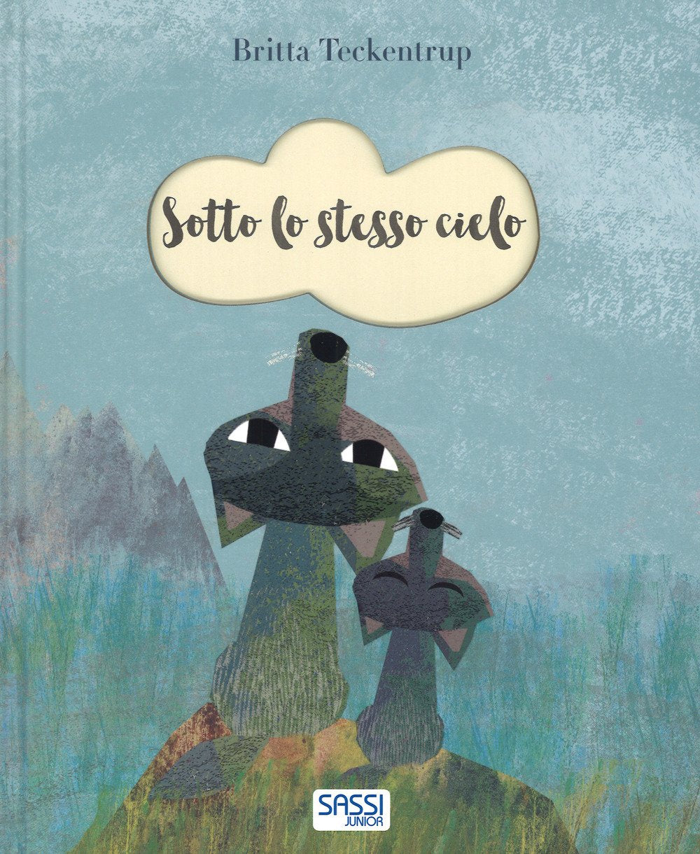 Sotto lo stesso cielo. Ediz. a colori book