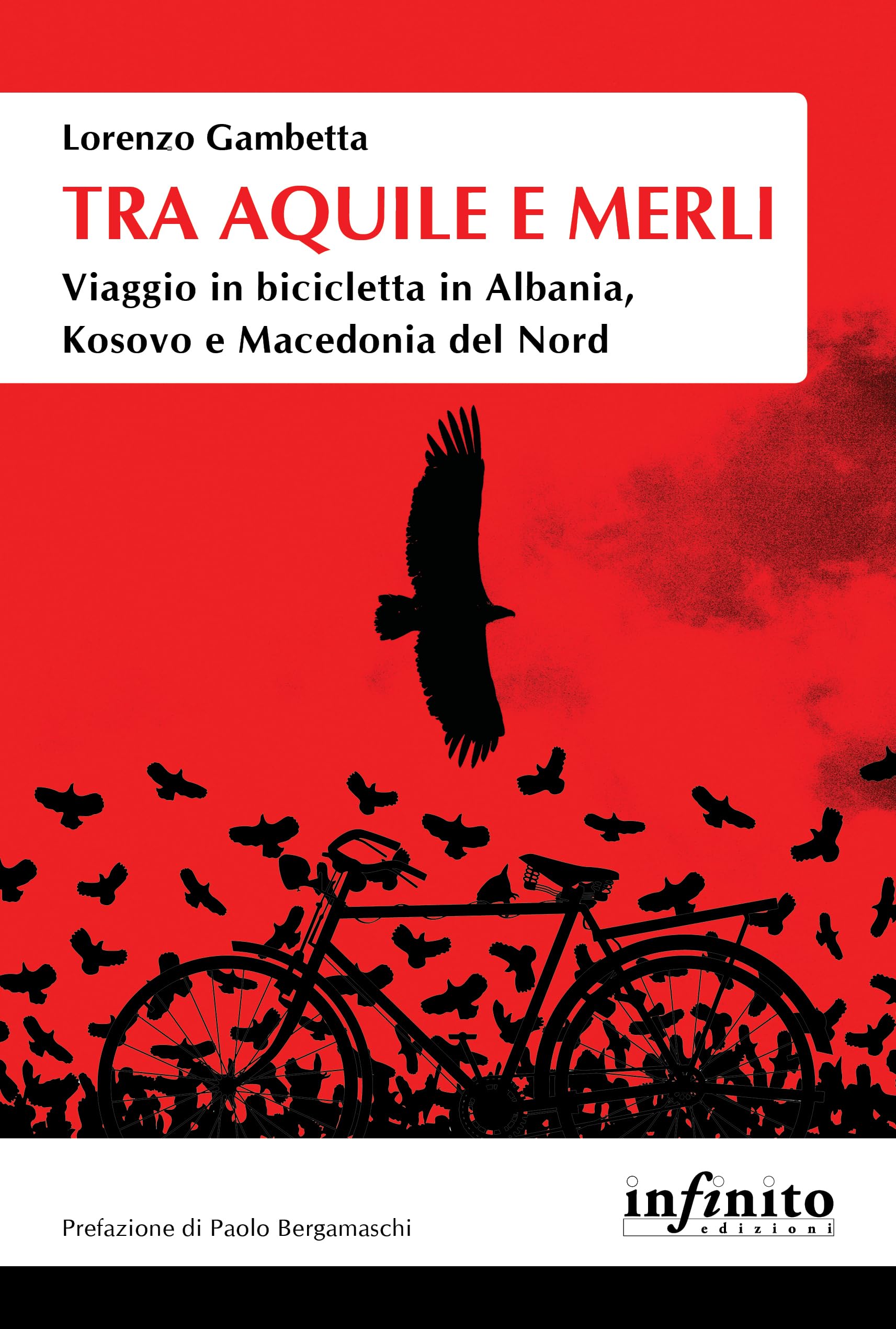 Tra aquile e merli. Viaggio in bicicletta in Albania, Kosovo e Macedonia del Nord book