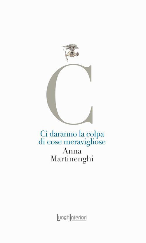 Ci daranno la colpa di cose meravigliose book