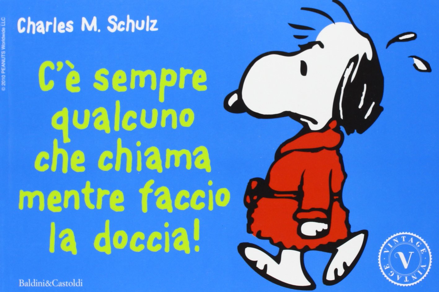 C'è sempre qualcuno che chiama mentre faccio la doccia! book