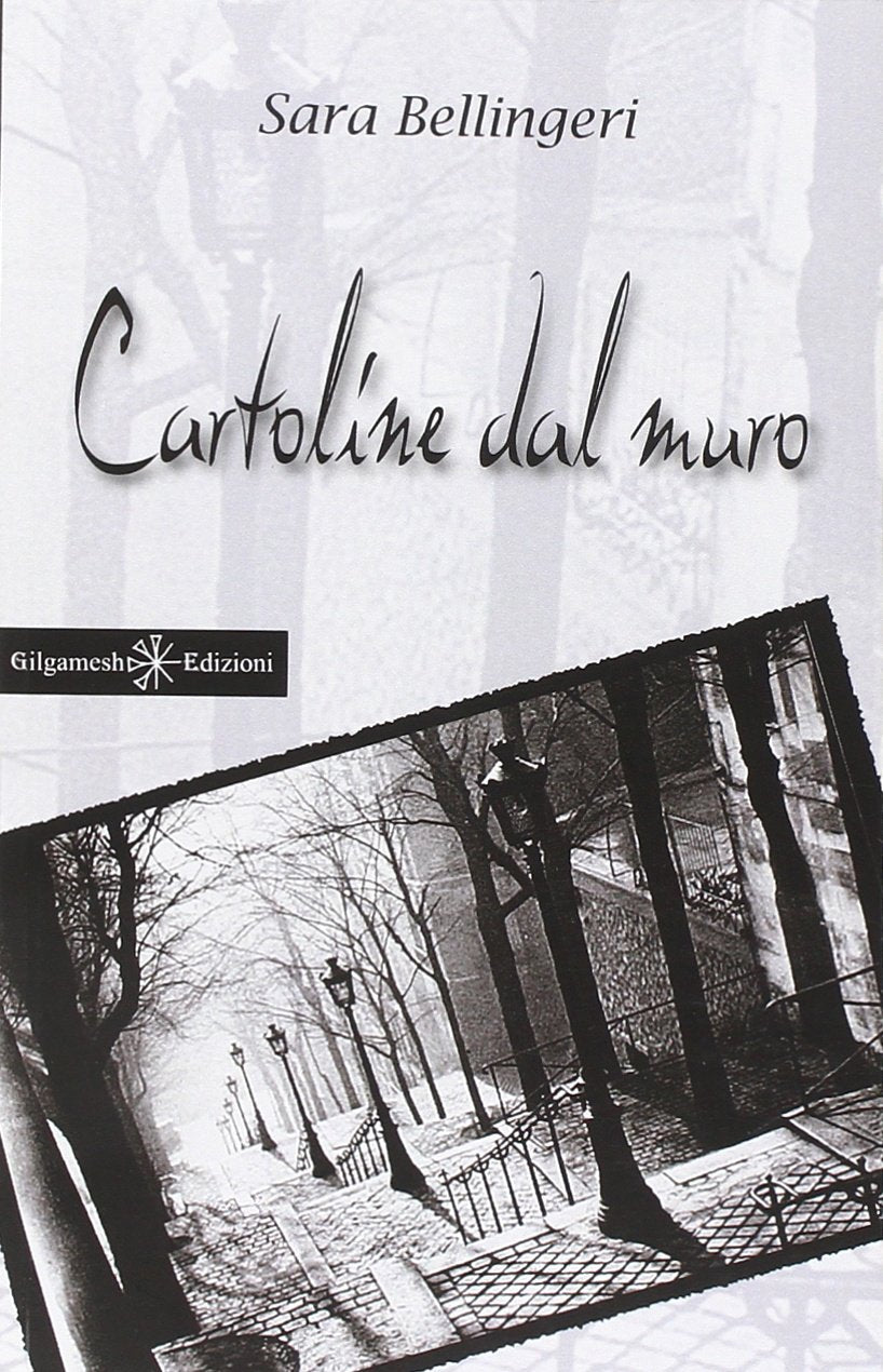 Cartoline dal muro. Con Libro in brossura book