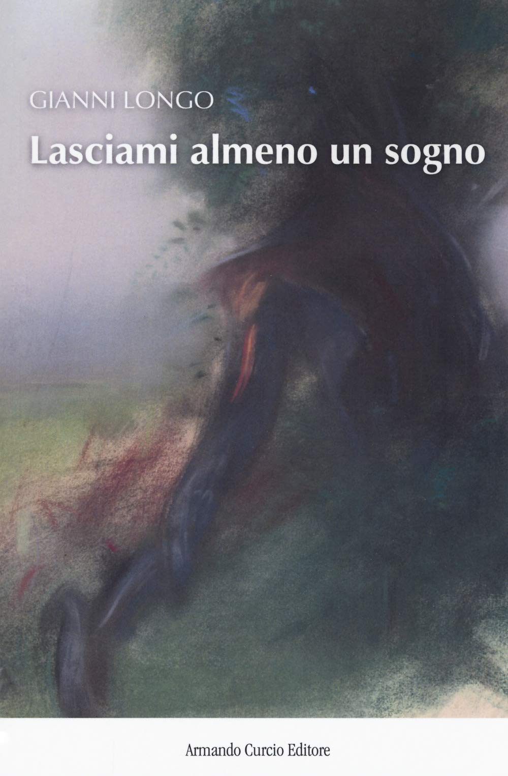 Lasciami almeno un sogno book