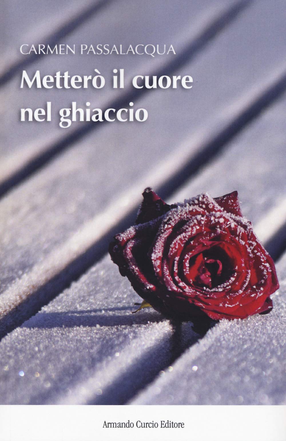 Metterò il cuore nel ghiaccio book