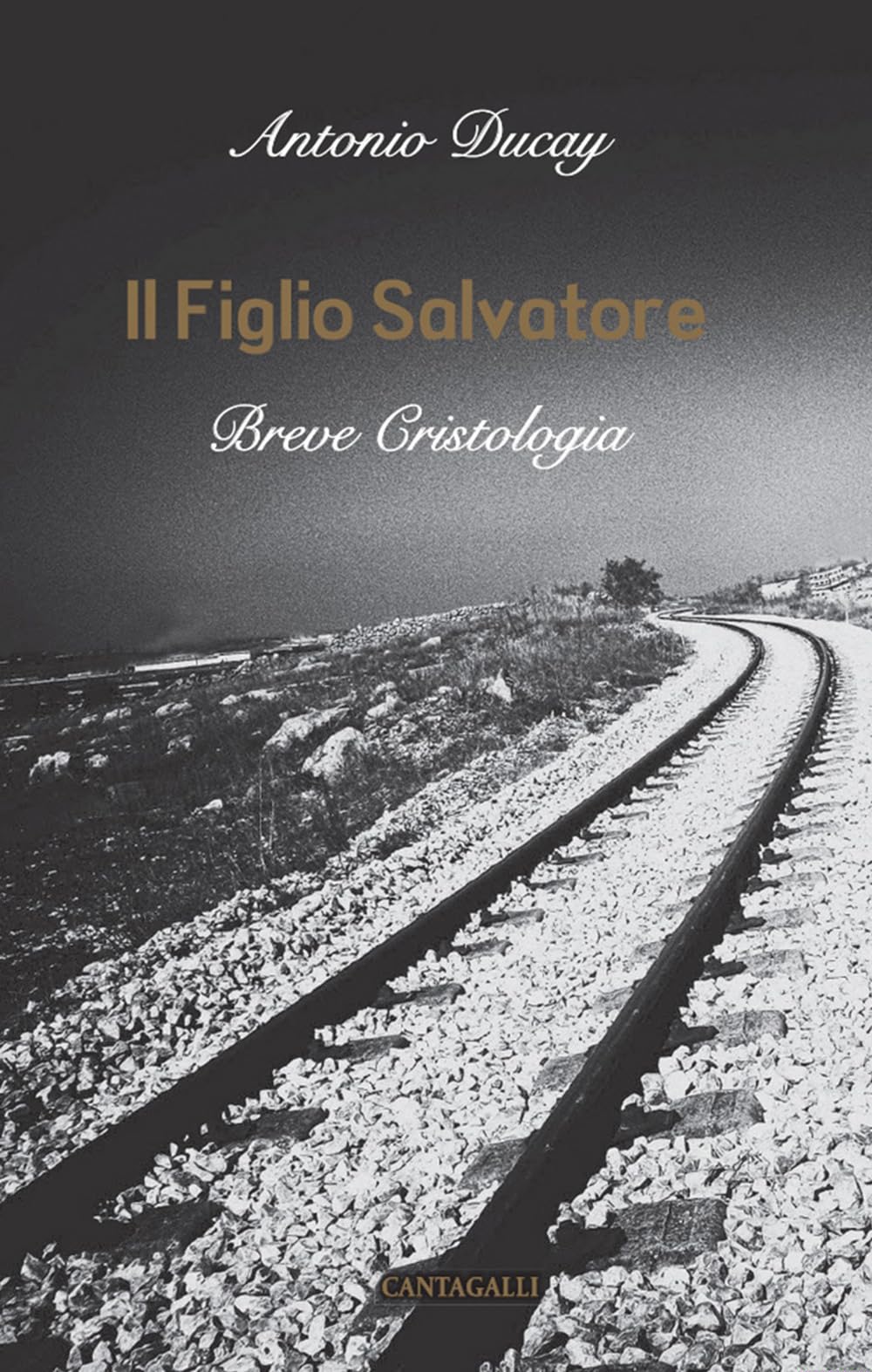 Il Figlio Salvatore. Breve cristologia book
