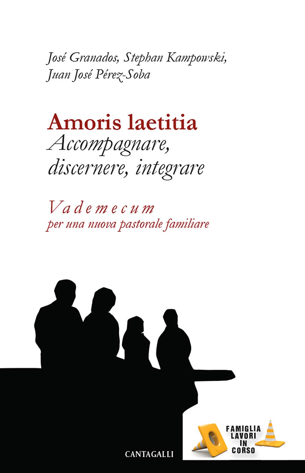 Amoris laetitia. Accompagnare, discernere, integrare. Vademecum per una nuova pastorale familiare book