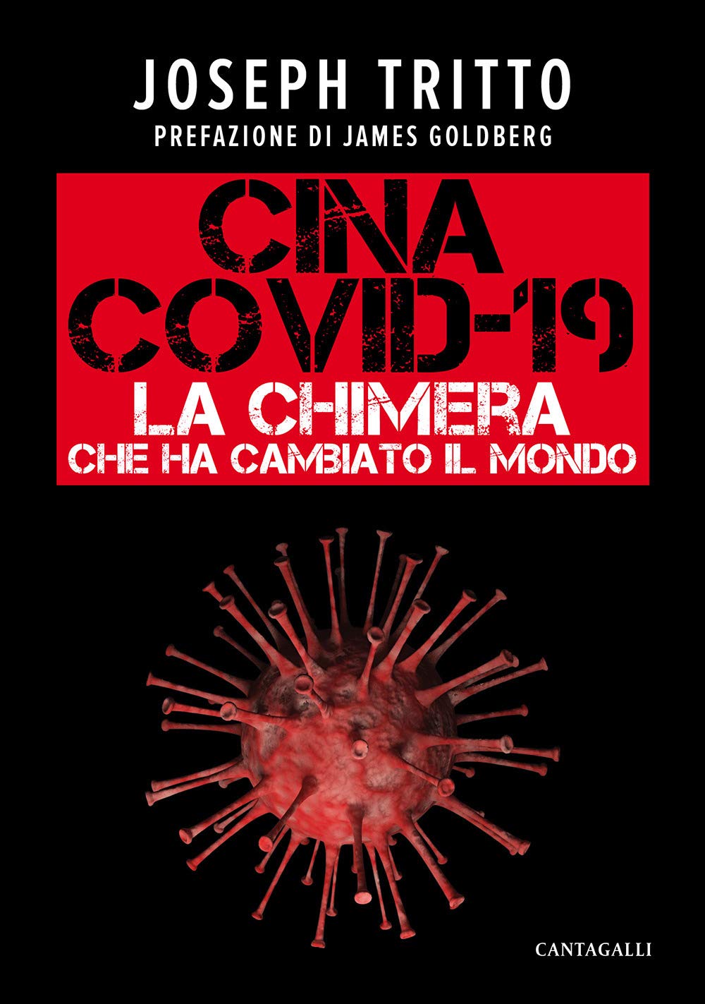 Cina Covid-19. La chimera che ha cambiato il mondo book