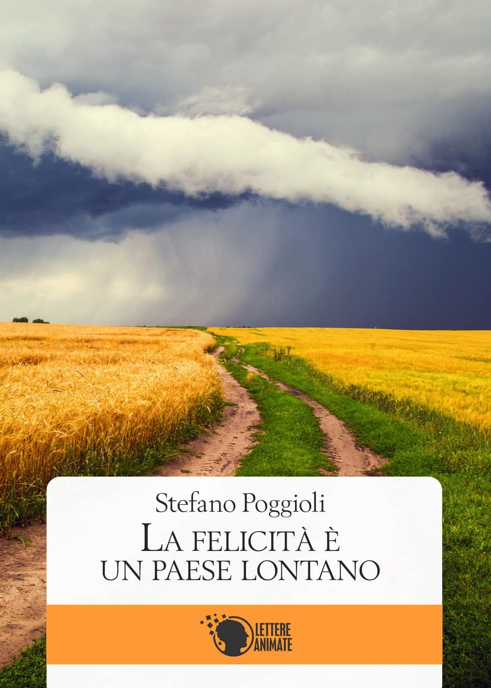La felicità è un paese lontano book