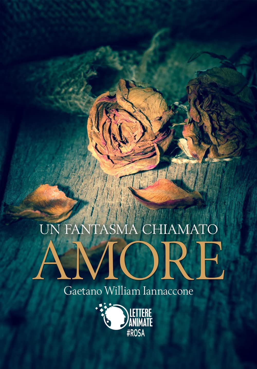 Un fantasma chiamato amore book