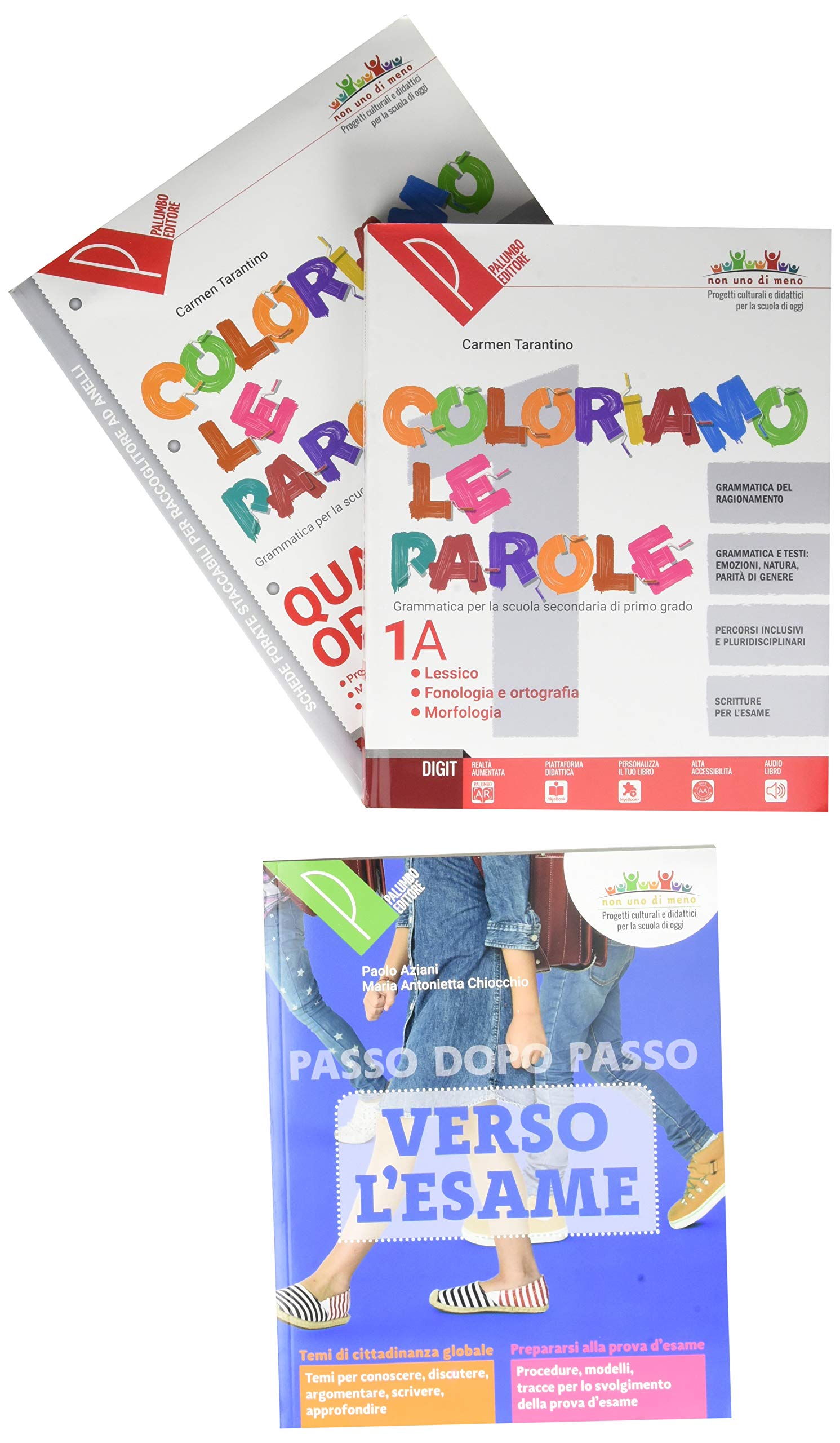 Coloriamo le parole. Per la Scuola media. Con e-book. Con espansione online. Con 2 libri: Quaderno operativo-Verso l'esame. Con DVD-ROM (Vol. 1/A) Professional & Reference Books
