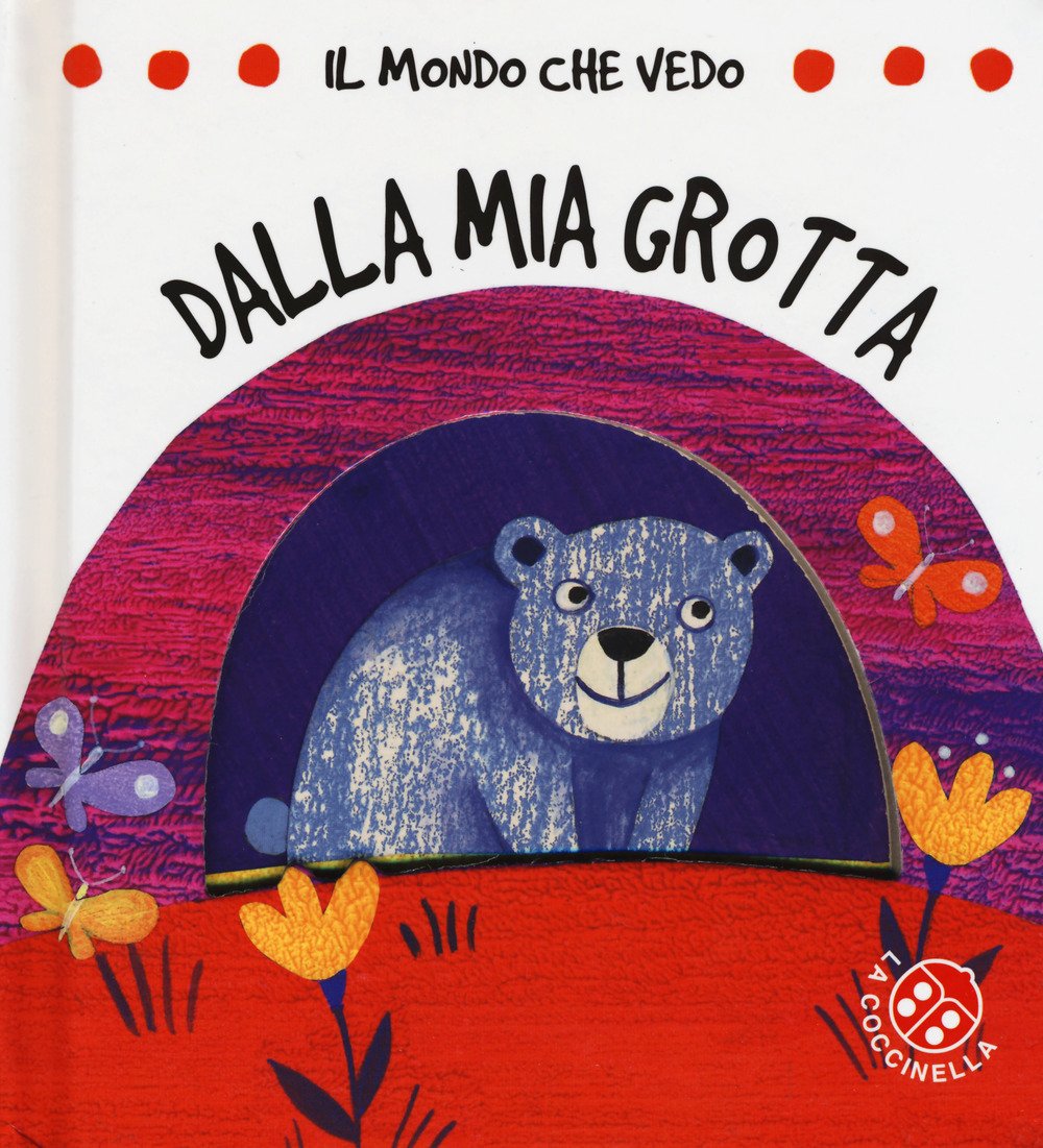 Dalla mia grotta. Il mondo che vedo. Ediz. a colori book