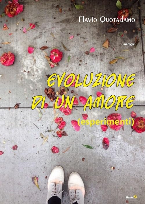 Evoluzione di un amore (Le chimere) Books