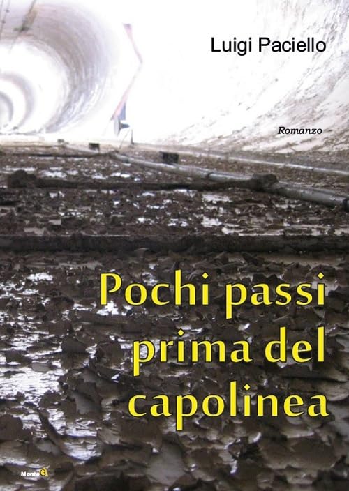 Pochi passi prima del capolinea (Le Fenici) Contemporary literature