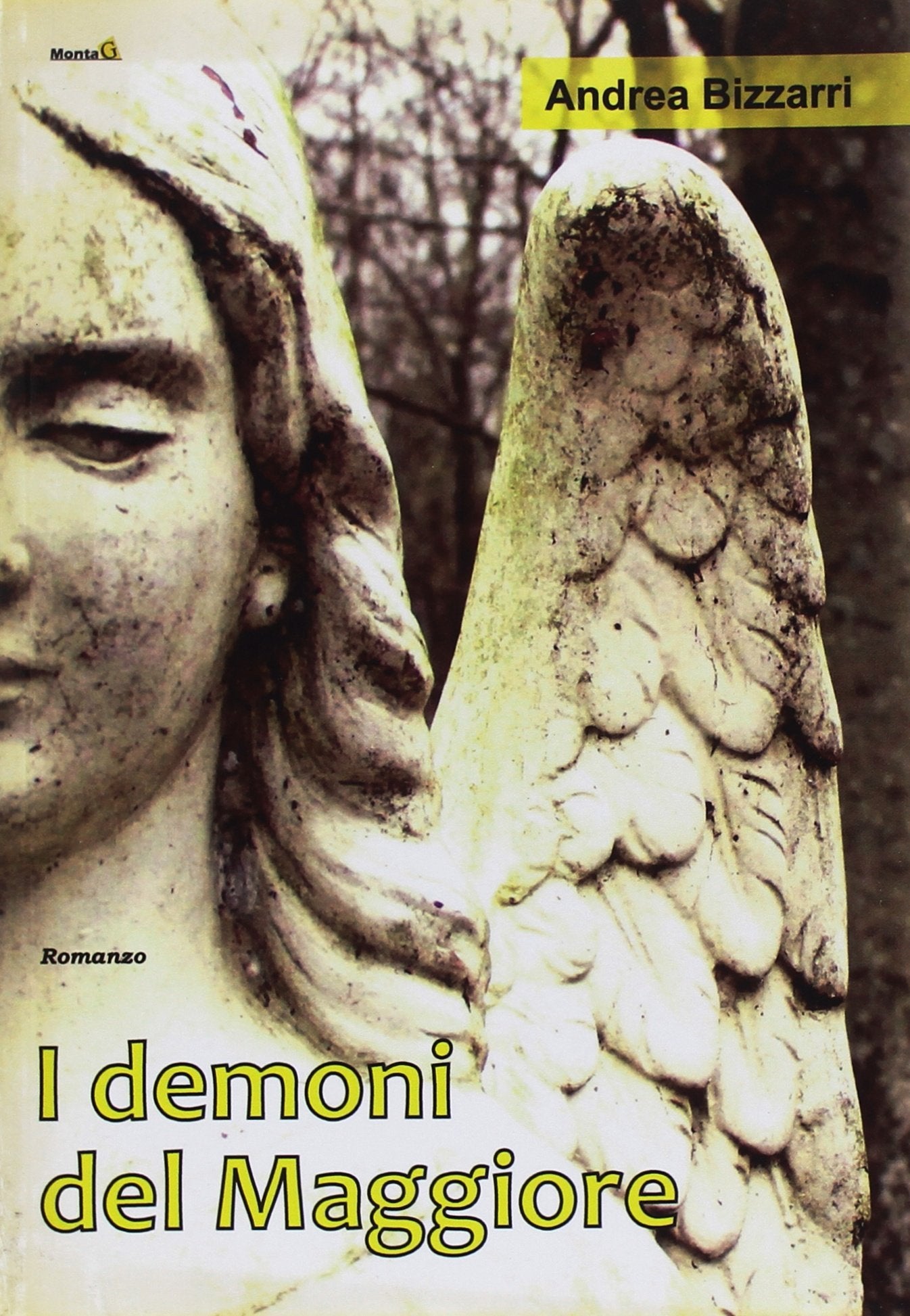 I demoni del maggiore (Le Fenici) Contemporary literature