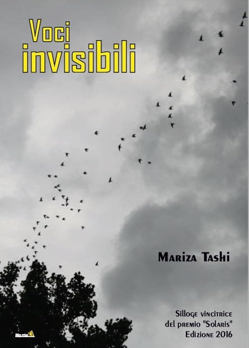 Voci invisibili (Solaris) Books
