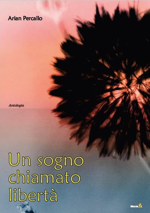 Un sogno chiamato libertà (Le Fenici) Contemporary literature