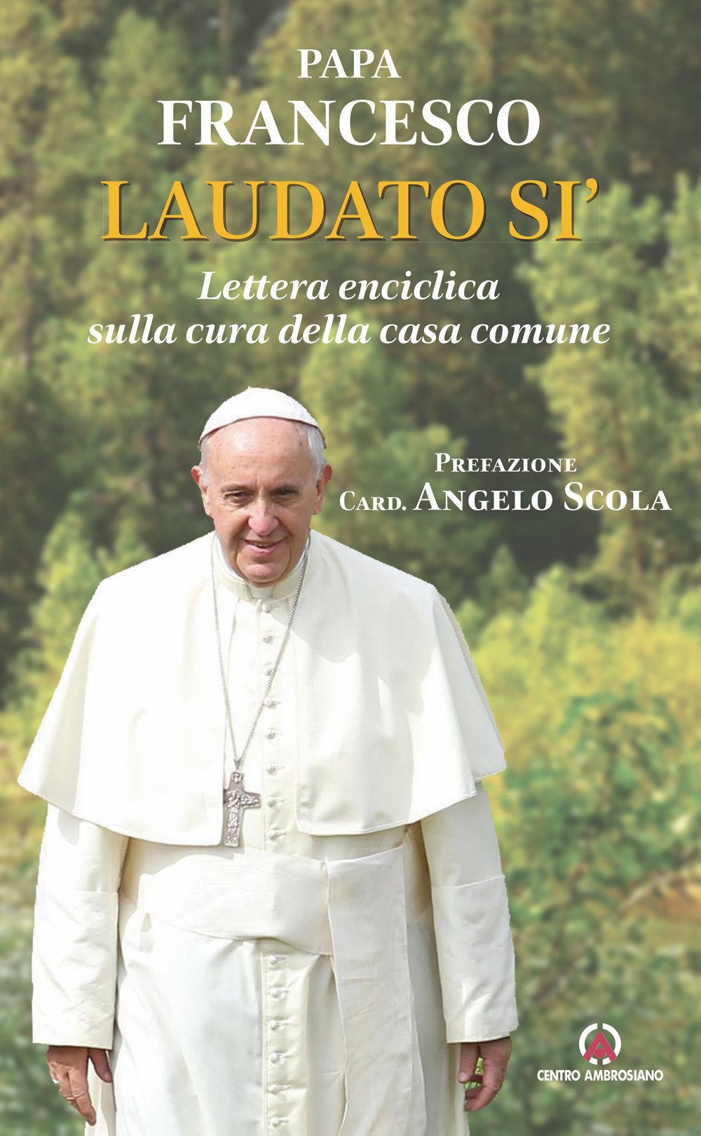 Laudato si'. Lettera enciclica sulla cura della casa comune book