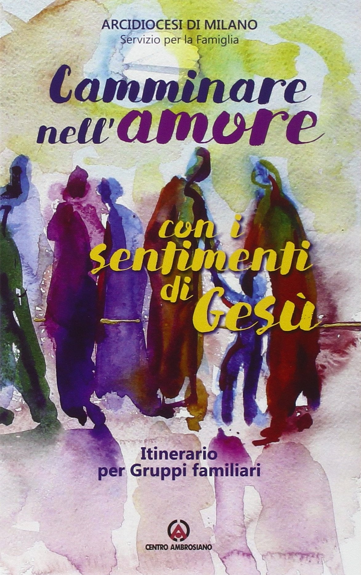 Camminare nell'amore con i sentimenti di Gesù. Itinerario per gruppi familiari (2016-2017) book