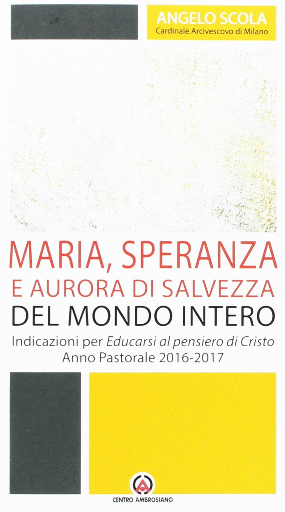 Maria, speranza e aurora di salvezza del mondo intero. Indicazioni per Educarsi al pensiero di Cristo. Anno pastorale 2016/2017 book