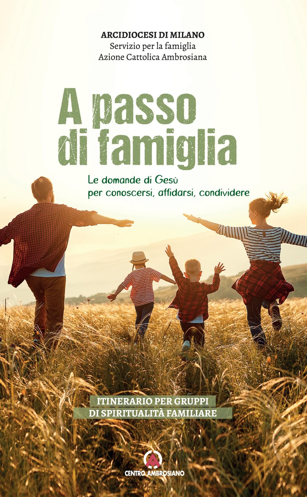 A passo di famiglia. Le domande di Gesù per conoscersi, affidarsi, condividere. Itinerario per gruppi di spiritualità familiare book