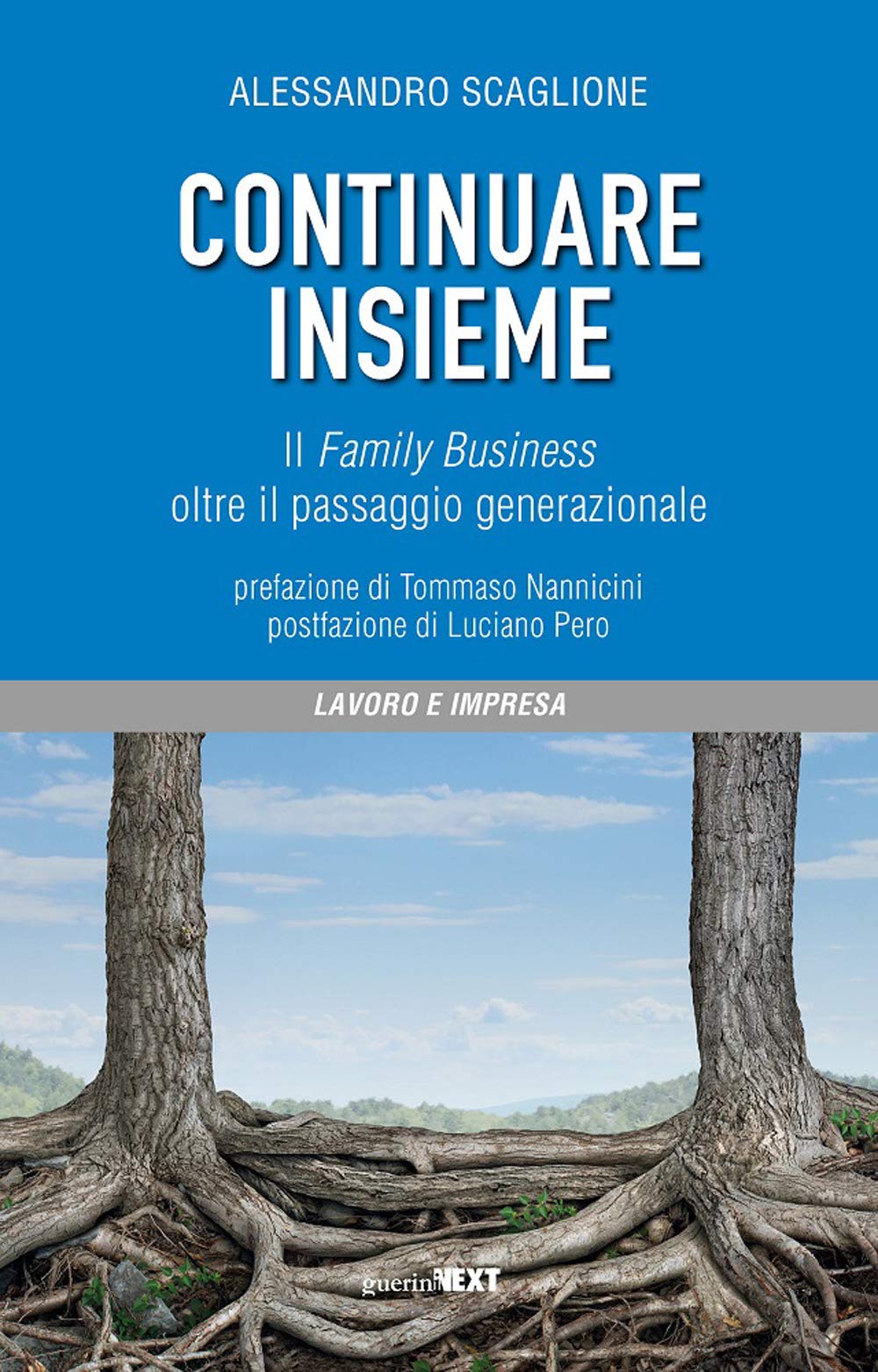 Continuare insieme. Il family business oltre il passaggio generazionale Business, Finance & Career
