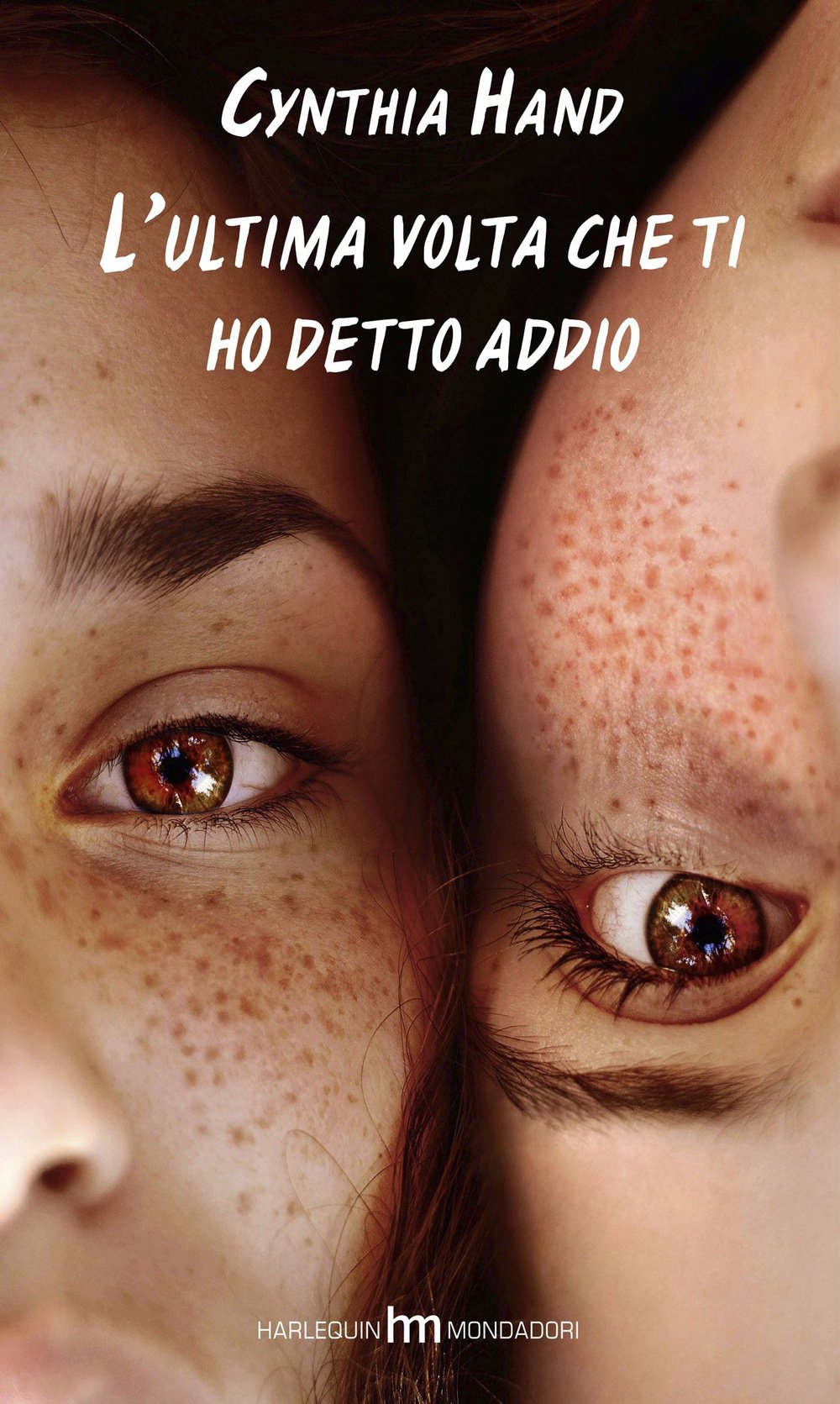 L'ultima volta che ti ho detto addio (hm) Contemporary literature