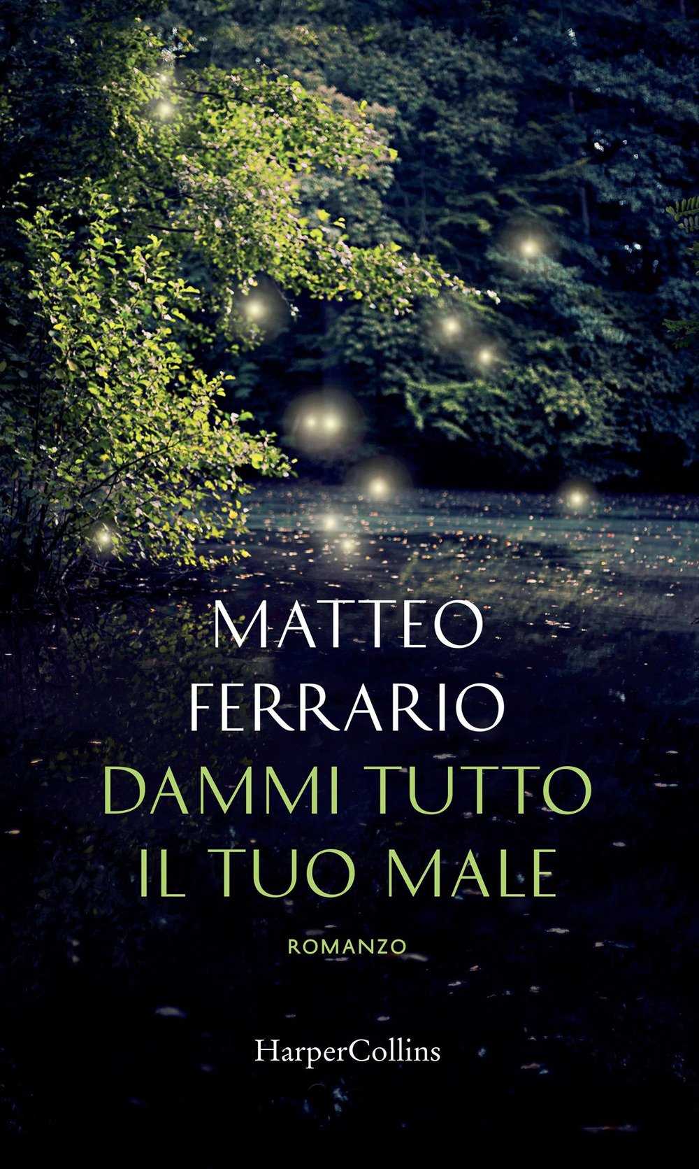 Dammi tutto il tuo male Contemporary literature