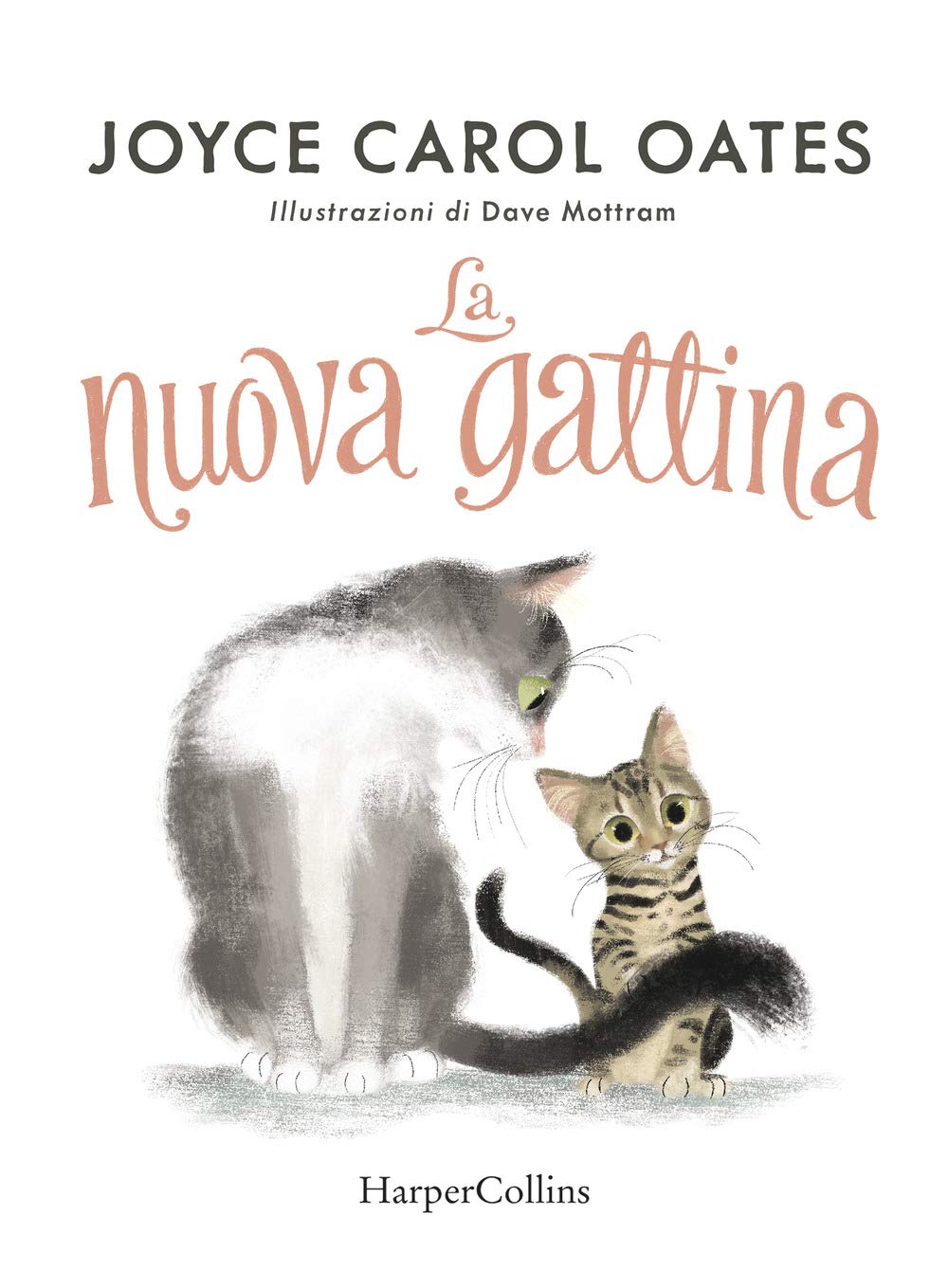 La nuova gattina. Ediz. a colori book