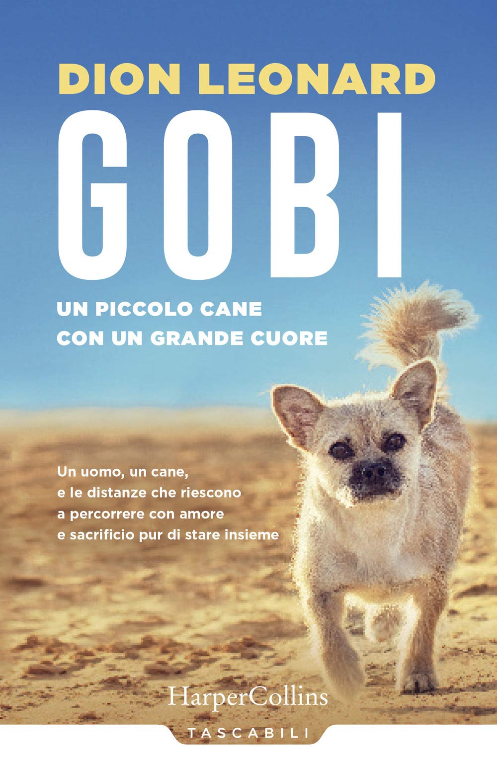 Gobi. Un piccolo cane con un grande cuore book