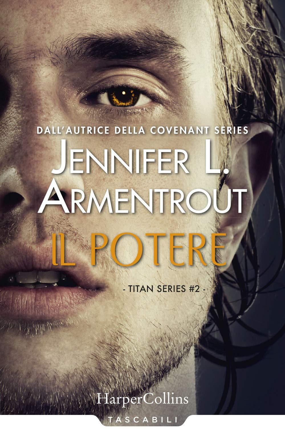Il potere. Titan series (Vol. 2) book