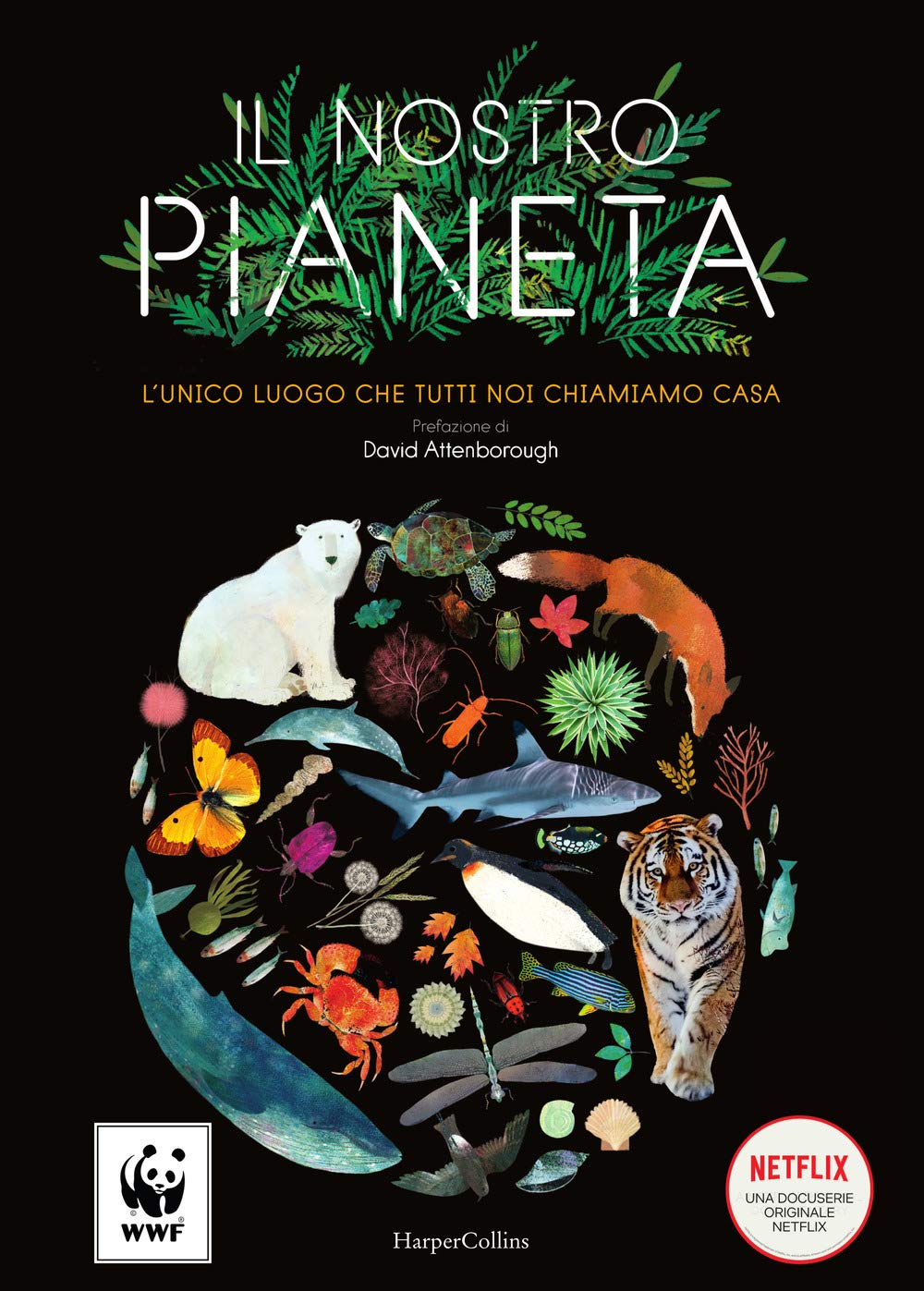 Il nostro pianeta. L'unico luogo che tutti noi chiamiamo casa. Ediz. a colori book