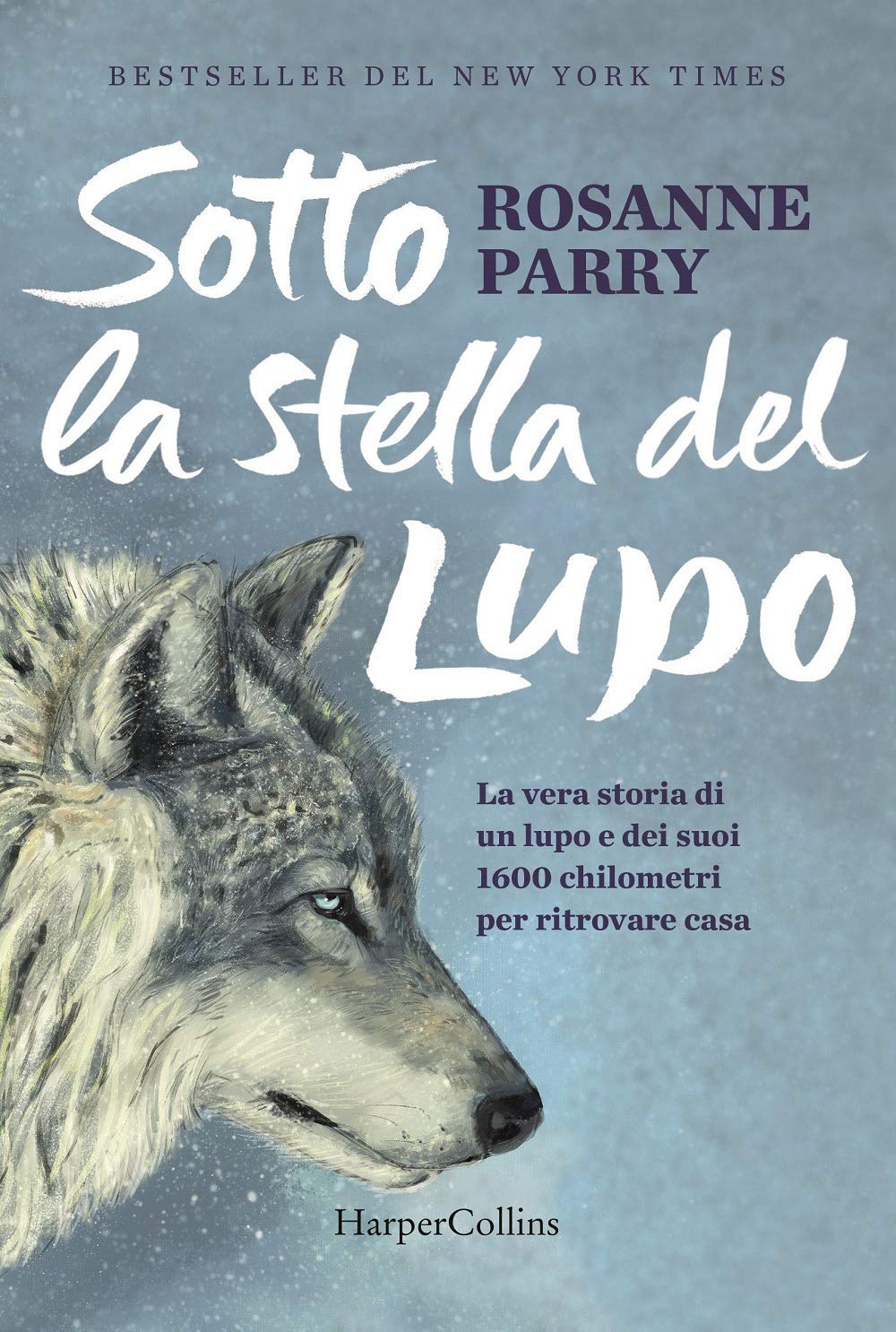 Sotto la stella del lupo book