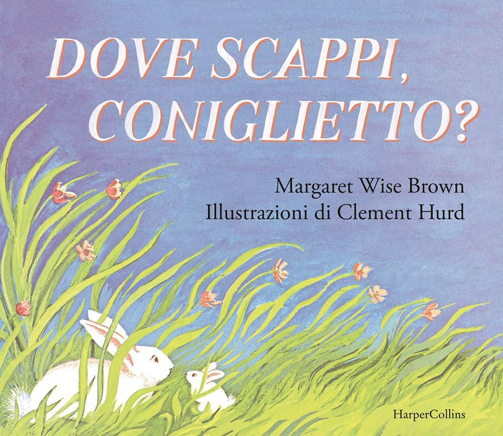 DOVE SCAPPI CONIGLIETTO Children's books