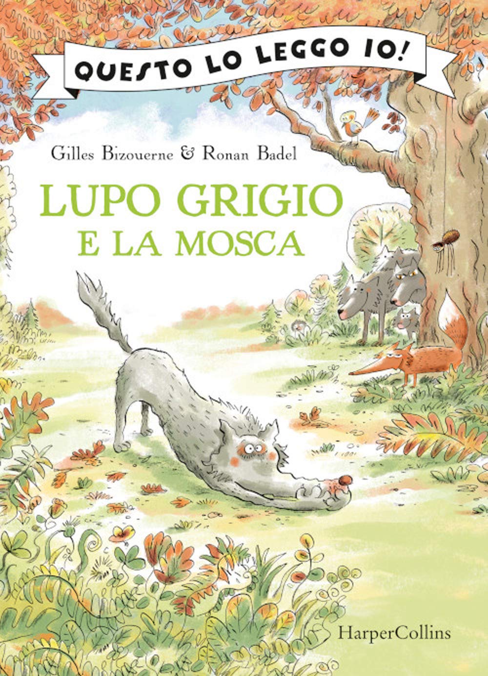 Lupo Grigio e la mosca book