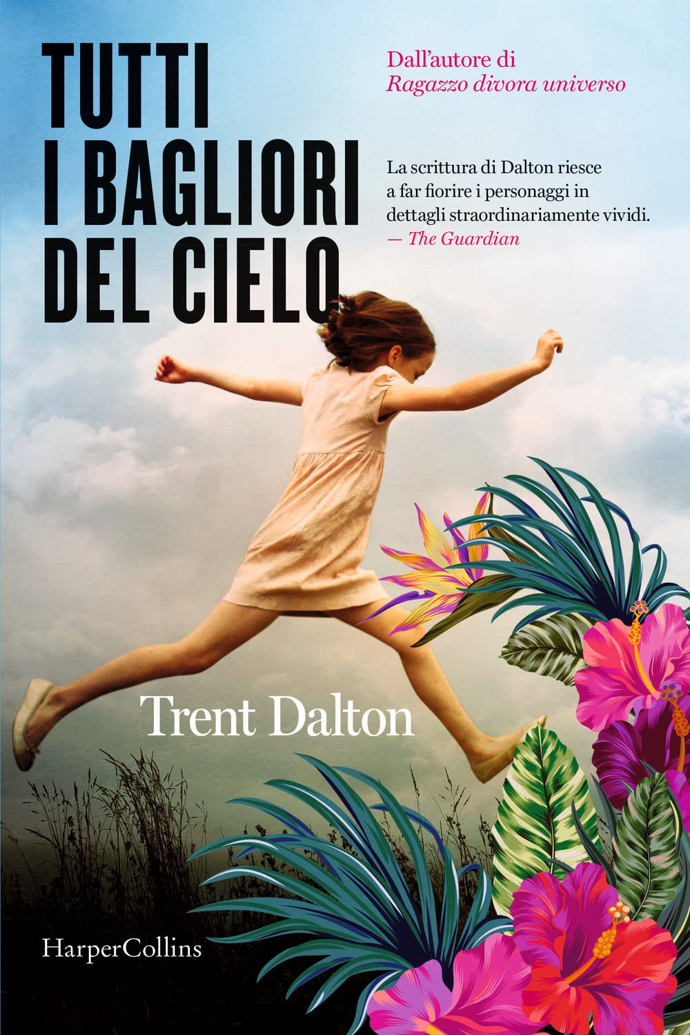 Tutti i bagliori del cielo book