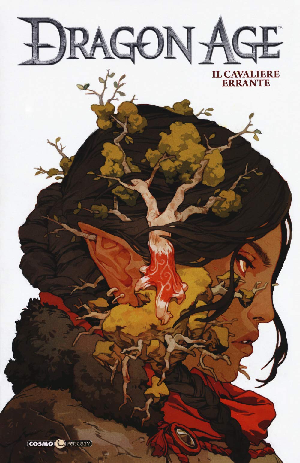 Dragon age. Il cavaliere errante (Vol. 3) book