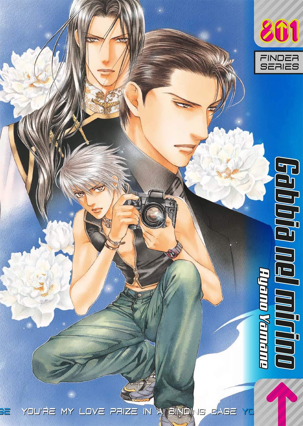 Finder. Gabbia nel mirino (Vol. 2) (801) Manga