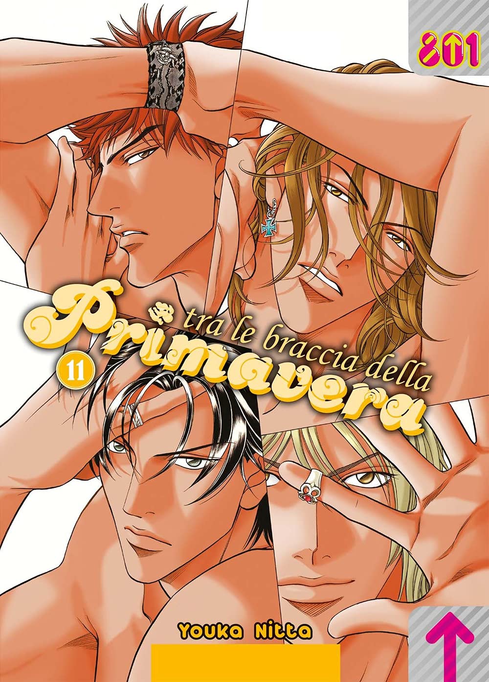 Tra le braccia della primavera (Vol. 11) (801) Manga
