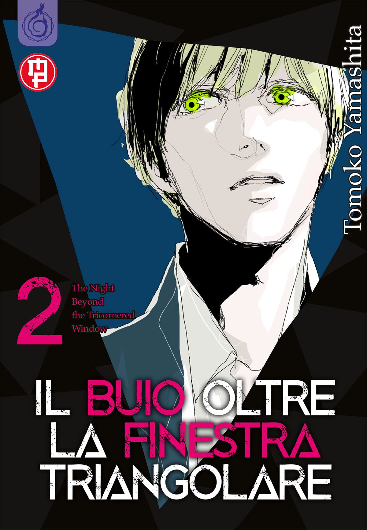 Il buio oltre la finestra triangolare (Vol. 2) book