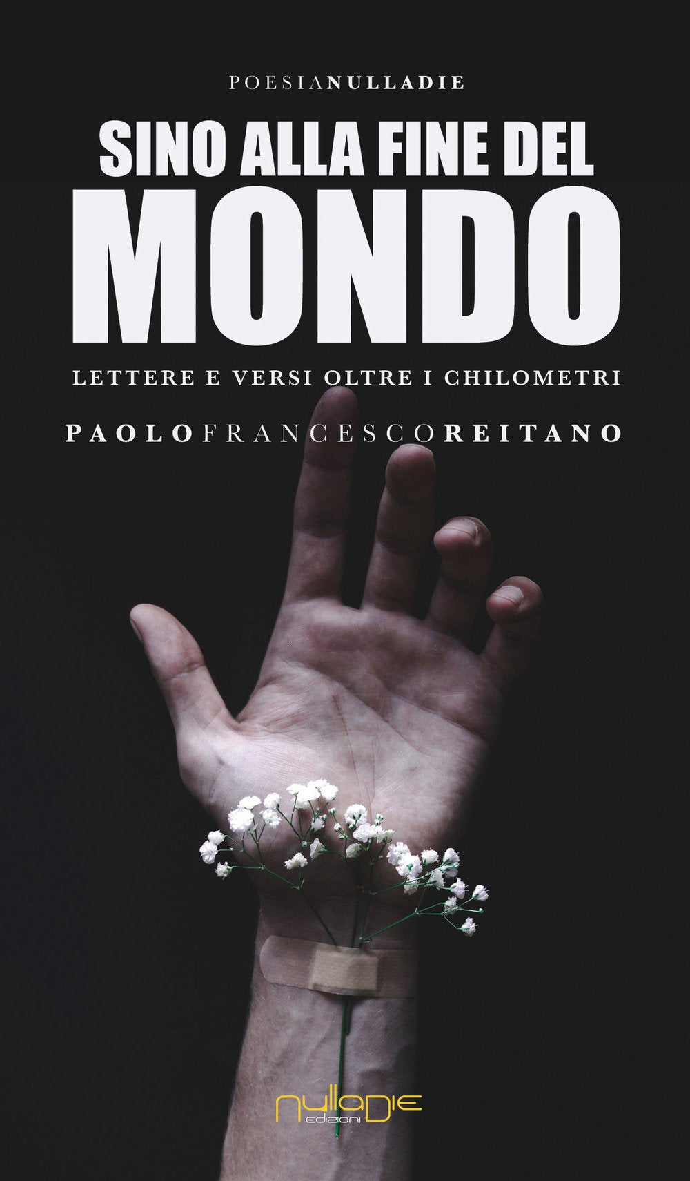 Sino alla fine del mondo. Lettere e versi oltre i chilometri (Parves res. La poesia) Poetry