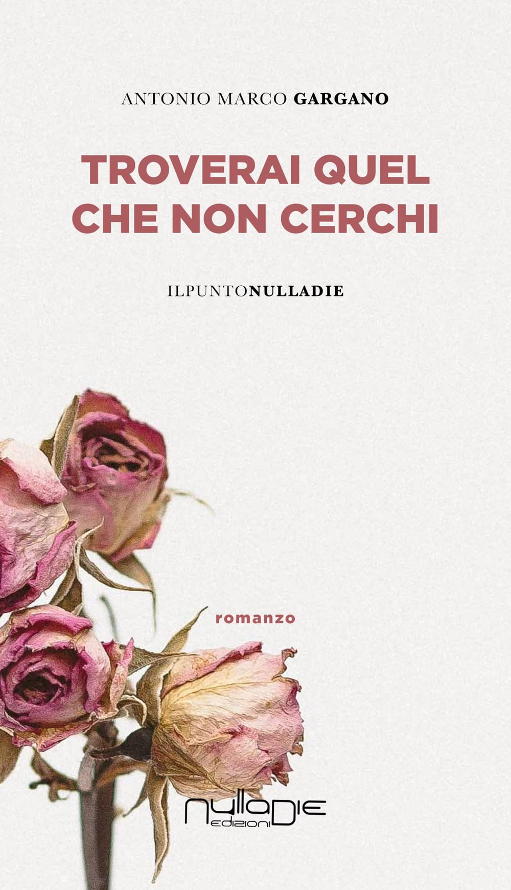 Troverai quel che non cerchi book