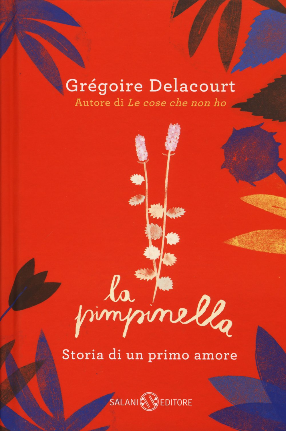 La pimpinella. Storia di un primo amore Contemporary literature