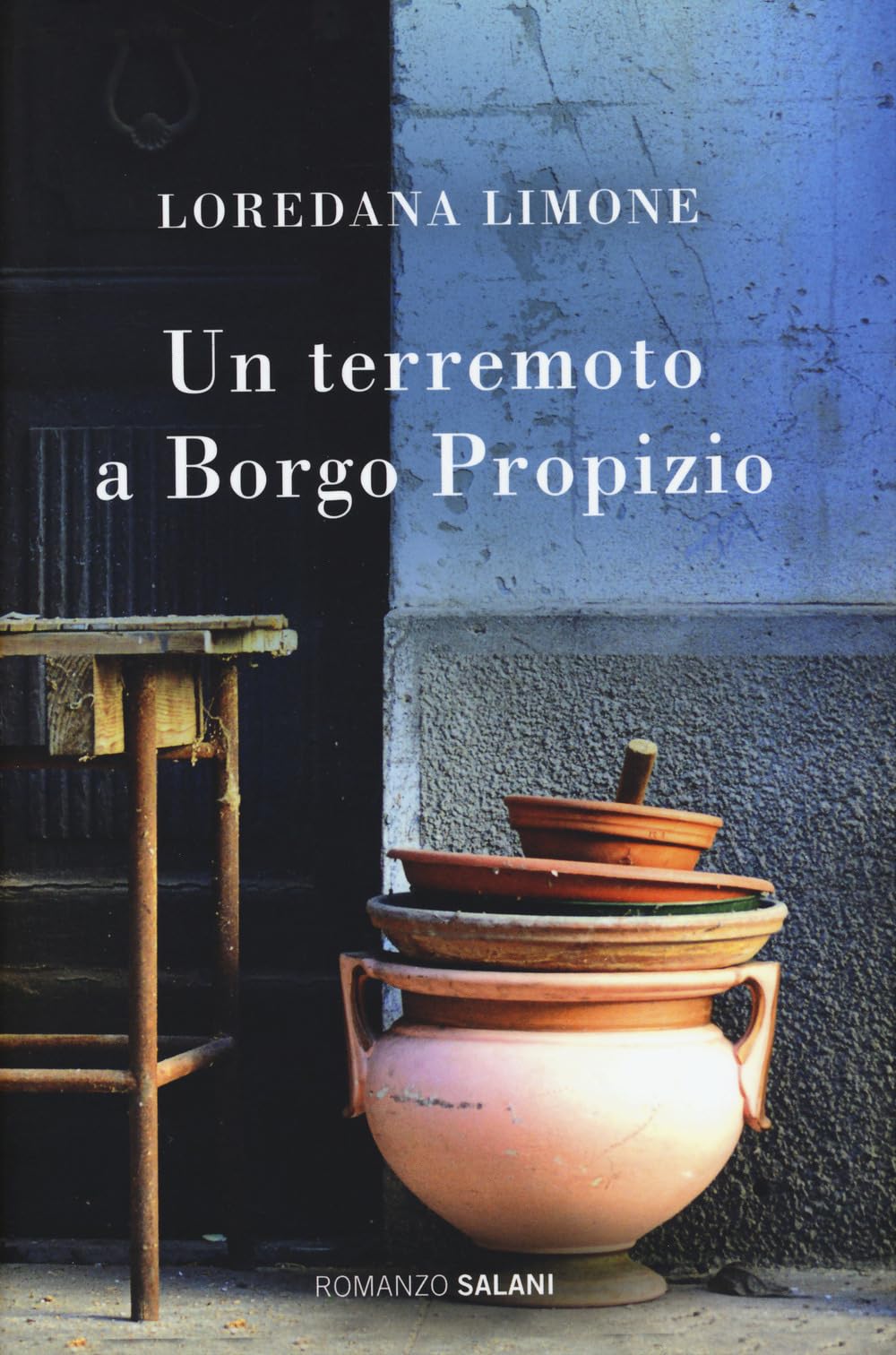 Un terremoto a Borgo Propizio book