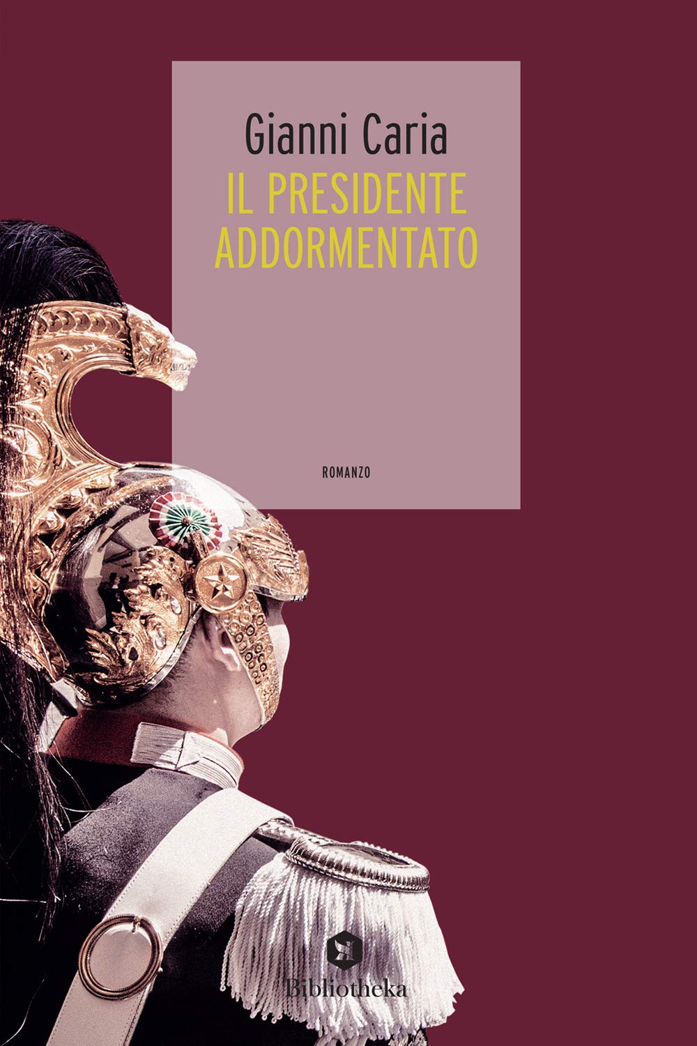 Il Presidente addormentato book